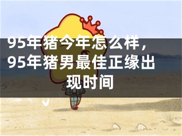 95年猪今年怎么样，95年猪男最佳正缘出现时间