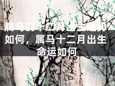 属马的十二月出生运势如何，属马十二月出生命运如何