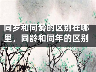 同岁和同龄的区别在哪里，同龄和同年的区别