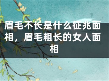 眉毛不长是什么征兆面相，眉毛粗长的女人面相