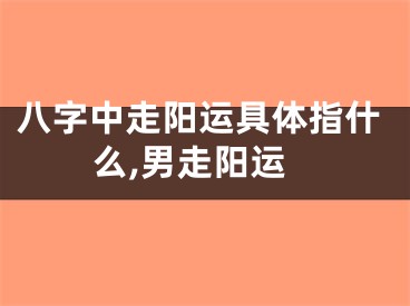 八字中走阳运具体指什么,男走阳运