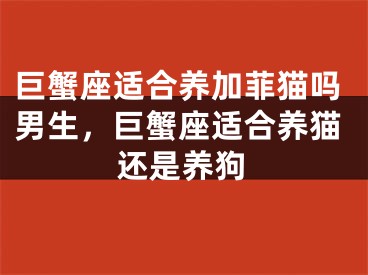 巨蟹座适合养加菲猫吗男生，巨蟹座适合养猫还是养狗