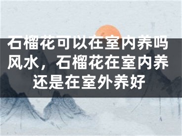 石榴花可以在室内养吗风水，石榴花在室内养还是在室外养好
