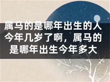 属马的是哪年出生的人今年几岁了啊，属马的是哪年出生今年多大