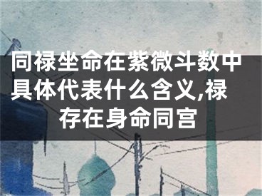 同禄坐命在紫微斗数中具体代表什么含义,禄存在身命同宫