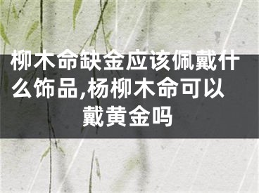 柳木命缺金应该佩戴什么饰品,杨柳木命可以戴黄金吗