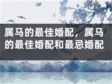 属马的最佳婚配，属马的最佳婚配和最忌婚配