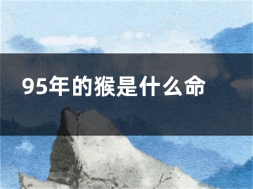 95年的猴是什么命