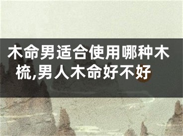 木命男适合使用哪种木梳,男人木命好不好