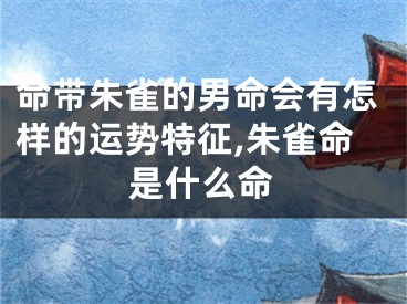 命带朱雀的男命会有怎样的运势特征,朱雀命是什么命