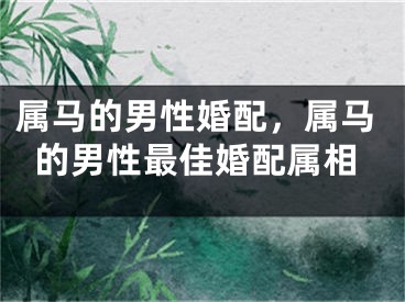 属马的男性婚配，属马的男性最佳婚配属相