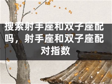 搜索射手座和双子座配吗，射手座和双子座配对指数