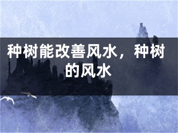 种树能改善风水，种树的风水