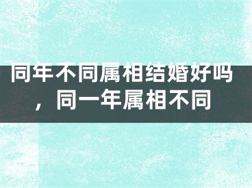 同年不同属相结婚好吗，同一年属相不同