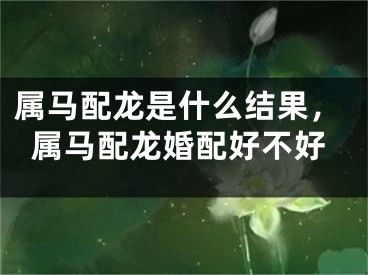 属马配龙是什么结果，属马配龙婚配好不好