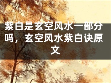 紫白是玄空风水一部分吗，玄空风水紫白诀原文