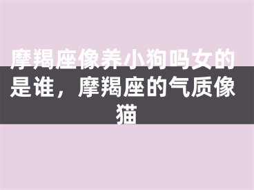 摩羯座像养小狗吗女的是谁，摩羯座的气质像猫