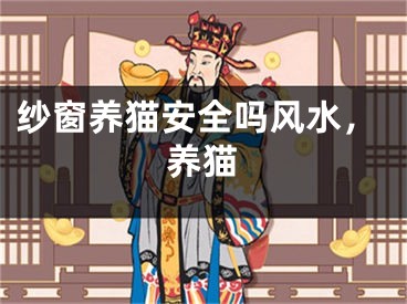 纱窗养猫安全吗风水，养猫