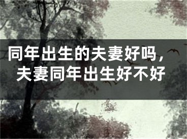 同年出生的夫妻好吗,夫妻同年出生好不好