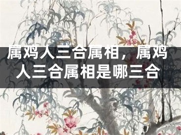 属鸡人三合属相，属鸡人三合属相是哪三合