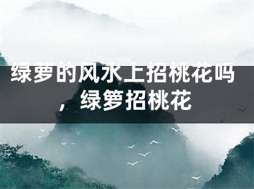 绿萝的风水上招桃花吗，绿箩招桃花