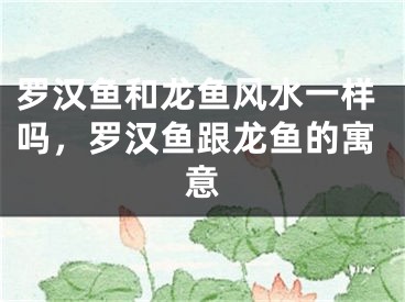 罗汉鱼和龙鱼风水一样吗，罗汉鱼跟龙鱼的寓意