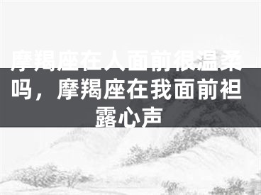 摩羯座在人面前很温柔吗，摩羯座在我面前袒露心声