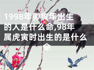 1998年卯寅年出生的人是什么命,98年属虎寅时出生的是什么命