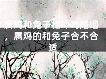 属鸡和兔子相冲吗婚姻，属鸡的和兔子合不合适