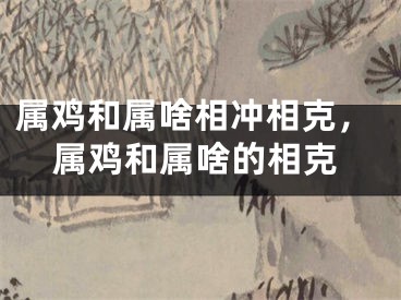 属鸡和属啥相冲相克，属鸡和属啥的相克