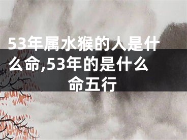 53年属水猴的人是什么命,53年的是什么命五行