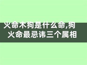 火命木狗是什么命,狗火命最忌讳三个属相
