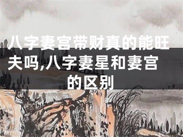 八字妻宫带财真的能旺夫吗,八字妻星和妻宫的区别