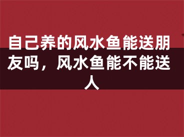 自己养的风水鱼能送朋友吗，风水鱼能不能送人