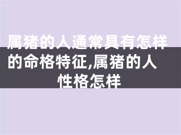 属猪的人通常具有怎样的命格特征,属猪的人性格怎样