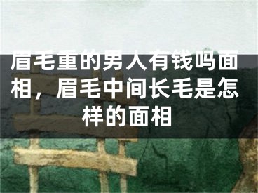 眉毛重的男人有钱吗面相，眉毛中间长毛是怎样的面相