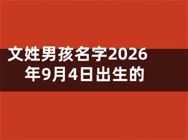 文姓男孩名字2026年9月4日出生的