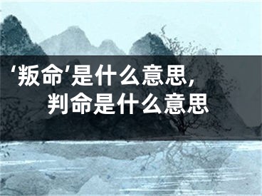 ‘叛命’是什么意思,判命是什么意思