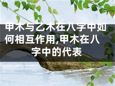 甲木与乙木在八字中如何相互作用,甲木在八字中的代表