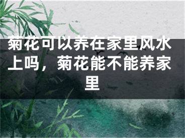 菊花可以养在家里风水上吗，菊花能不能养家里