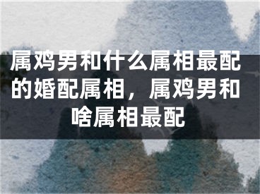 属鸡男和什么属相最配的婚配属相，属鸡男和啥属相最配