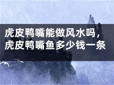 虎皮鸭嘴能做风水吗,虎皮鸭嘴鱼多少钱一条