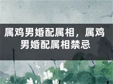 属鸡男婚配属相，属鸡男婚配属相禁忌