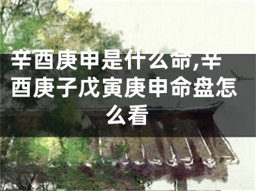辛酉庚申是什么命,辛酉庚子戊寅庚申命盘怎么看