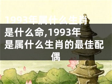 1993年属什么生肖是什么命,1993年是属什么生肖的最佳配偶