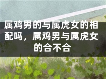 属鸡男的与属虎女的相配吗，属鸡男与属虎女的合不合