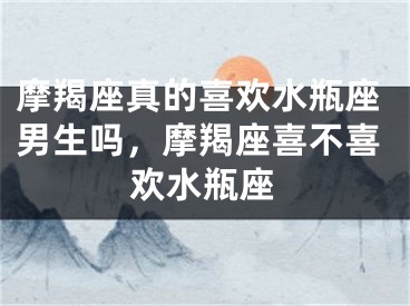 摩羯座真的喜欢水瓶座男生吗，摩羯座喜不喜欢水瓶座