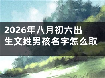 2026年八月初六出生文姓男孩名字怎么取