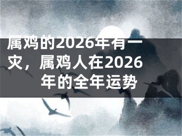 属鸡的2026年有一灾，属鸡人在2026年的全年运势