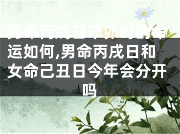男命丙戌日辛卯时的命运如何,男命丙戌日和女命己丑日今年会分开吗